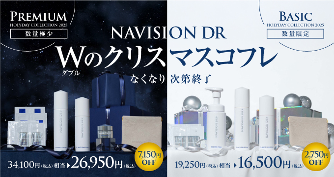 ナビジョンDRホリデーコレクション2025