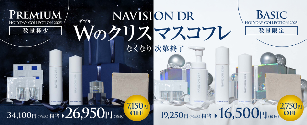 ナビジョンDRホリデーコレクション2025