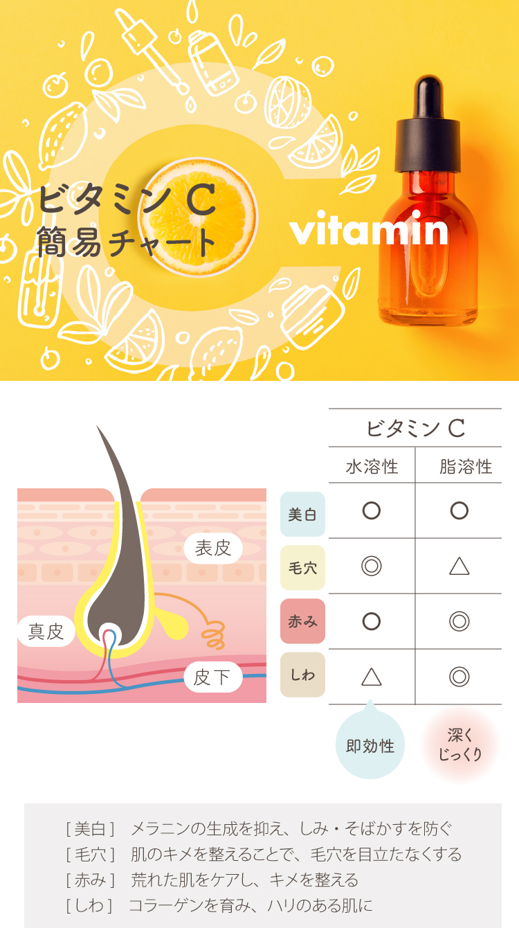 ビタミンＣ　簡易チャート